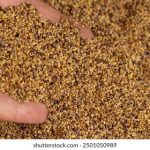 利记娱乐的安全保障措施,确保玩家信息安全 a4x81mok