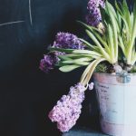 十博娱乐:让你尽享游戏与社交的完美结合 jhze49