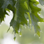 3d092期历史开奖号码完整查询与详细数据分析 dyf2ixz