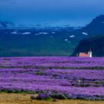 3b开奖号结果最新公布今日中奖号码查询 io45dgrn7